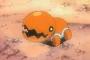 ポケモンのナックラーとかいう豆ｗｗｗｗｗｗｗｗｗ