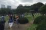 公園にピカチュウが出ると聞いて群がる日本人をご覧くださいｗｗｗｗｗｗｗｗｗｗｗｗｗｗｗｗｗｗｗｗ