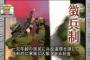 【悲報】日本人の「徴兵制に賛成」の割合ｗｗｗｗｗｗｗｗｗ（※画像あり）