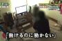 「生活保護受けたいから親に早く死んでほしい」支援者が語る引きこもりの本音、もはや親子の情すら皆無で絶望ばかりの日本