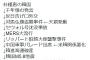 【ネタ宝庫ワロタｗ】朴槿恵の韓国を並べてみた(･∀･)「千年恨む」→「セウォル」→「ＭＥＲＳ」→「リッパート」‥