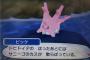 【ポケモンサン・ムーン】ドヒドイデのはったあとにサニーゴのカスが散らばっている【ポケモンの闇】