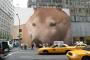 【GIF画像あり】また新手のヘンテコ犬さんが発見されるｗｗｗｗｗ