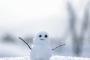 【悲報】15日朝は関東で雪やみぞれ　通勤通学に注意