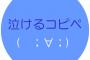 【必見】泣けるコピペが読みたいです。 → ご覧ください・・・