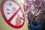 「桜に手を触れないで」東京の上野公園にある看板（海外の反応）