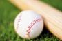 プロ野球選手になる妄想で微妙な設定にする奴wwwww