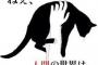 私友A子に惚れてたが相談に乗るうちに私を好きになったらしく、告白されてお付き合い開始→A子にも彼氏ができ皆で遊びに行くようになったんだが、キャンプに行った時…