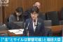 民進党・本村議員「北朝鮮のミサイルが飛んできた場合、本当に撃ち落とすことが可能なのかイエスかノーで答えて」 稲田防衛相「可能です」