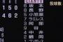 2010年 読売ジャイアンツ　チームホームラン数 226本