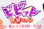 【悲報】国分太一のTBS「ビビット」が年内で完全終了へ！！