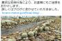 メロン農家が除草剤を撒かれ怒りの告発…メロンハウス6棟(約6600玉)が全滅