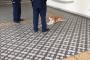 うちに犬がくるんやが躾ってどうすればええんや