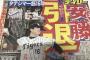 【悲報】阪神安藤、引退