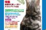 【再掲】 週刊後頭部