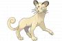 初代3大最強ポケモン「ケンタロス」「ペルシアン」