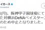 【速報】甲子園の阪神対DeNA、中止