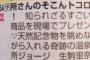 【乃木坂46】生駒里奈が11月10日「所さんの学校では教えてくれないそこんトコロ！」に出演！