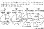 【悲報】中高生さん、文章が読めない