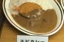 【画像】このエビカレーで笑ったら寝ろｗｗｗｗｗｗｗｗｗｗ