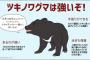 【無謀】20代男性の51.9%「さすがにツキノワグマなら遭遇しても追っ払えると思ってる」←ｗｗｗｗｗｗｗｗ