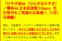 【悲報】武道館ライブはひらがなけやきがメインのコンサート 	