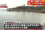 田中蓮くん(3)行方不明その後、九頭竜川の河川敷で男児の遺体発見→ DNA鑑定の結果・・・