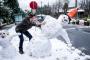 雪で動けなくなったから路駐してたら駐禁切られたんだが