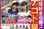 ガチのプロ野球好きのメンバー教えて 	