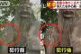 【福岡】神社の貴重な像やこま犬が相次いで破壊される