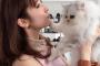 猫に殴られた