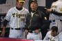 【悲報】金本監督、休日の予定を急きょ変更し強制練習