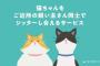 猫の飼い主マッチングで「シッター」相手を探すサービスが登場