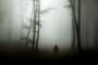 【恐怖】1950年代に報告されていた「人食い霧」が怖すぎる・・・