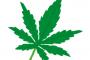 カナダで『マリファナ（大麻）』が合法化された結果ｗｗｗｗｗ