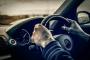 車評論家の「ハンドリングが素晴らしい」って何なの？