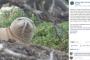 【画像】鼻の穴にウナギが刺さったアザラシ発見されるｗｗｗｗｗｗｗｗｗ