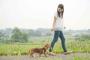 犬と散歩中に、高い所にいた作業員『わぅ！わぅ！』私（この人犬好きなんだろうな～ｗｗｗ）→作業員『うわあああ』私「！？」→バランスを崩して落下してしまい・・・