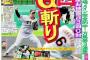 阪神、チーム防御率を5.51→5.12、打率を.187→.183に改善