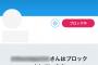 【これええなｗ】ツイッターで『ブロック』したら”こう”なるようにしてほしいｗｗｗ（画像あり）