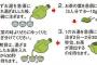 私宛に送られてきた玉露を急須にぶち込んでポットからお湯を直接ジャー→ウト湯呑にドボドボ→ポットからお湯(ry→旦那湯呑に(ry→ポットから(ry→トメ湯呑(ry→そして…