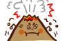 【衝撃】富士山が噴火するXデーがこちら・・・・・・・・・