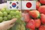 イチゴ・ブドウに戦争拡大？日本「韓国が日本産を無断栽培」と突拍子もない主張＝韓国の反応