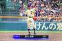 この夏の甲子園、一切盛り上がらなかった 	