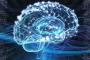 合成人間ビルケ誕生…人工培養された人間の脳に意識はあるのか？