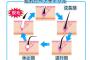 【PR】＜育毛＞衝撃の事実…抜け毛の量は3ヶ月前に決まっている！