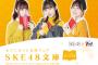 セブンネット文庫フェア「SKE48文庫」始まる 	