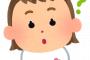 三角チョコパイの食べ方がこちらｗｗｗｗ