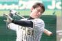 伊藤隼太さん(30)の年度別代打成績wwwwxwwwwxwwwwxwwwwxwwwwx