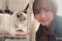 【SKE48】佐藤佳穂「姉に顔がウザイって言われた」